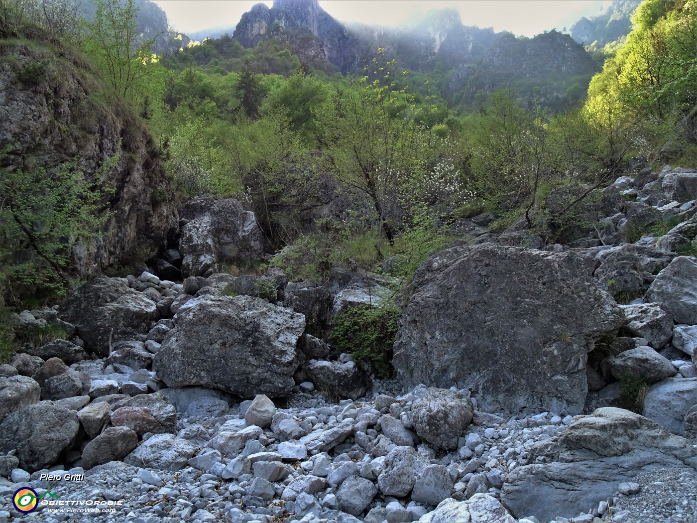 73 ...ed ero partito da qui seguendo la valle pietrosa...sbagliando.JPG